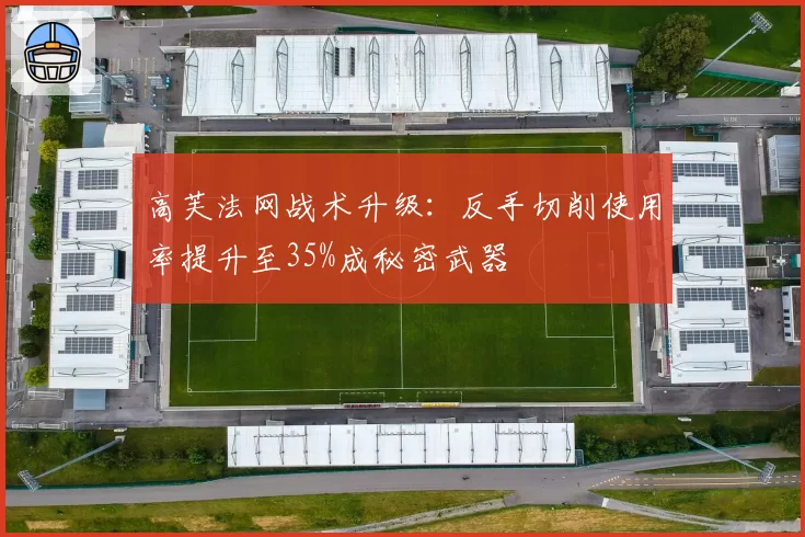 高芙法网战术升级:反手切削使用率提升至35%成秘密武器
