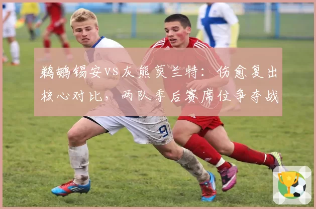 鹈鹕锡安vs灰熊莫兰特：伤愈复出核心对比，两队季后赛席位争夺战分析