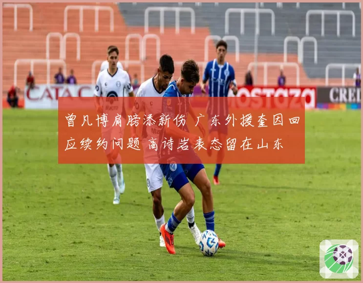 曾凡博肩膀添新伤 广东外援奎因回应续约问题 高诗岩表态留在山东